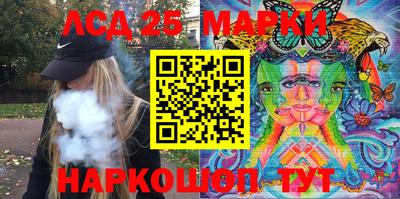 гидра Будённовск