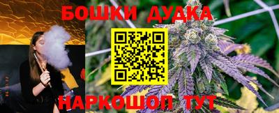 гидра Будённовск