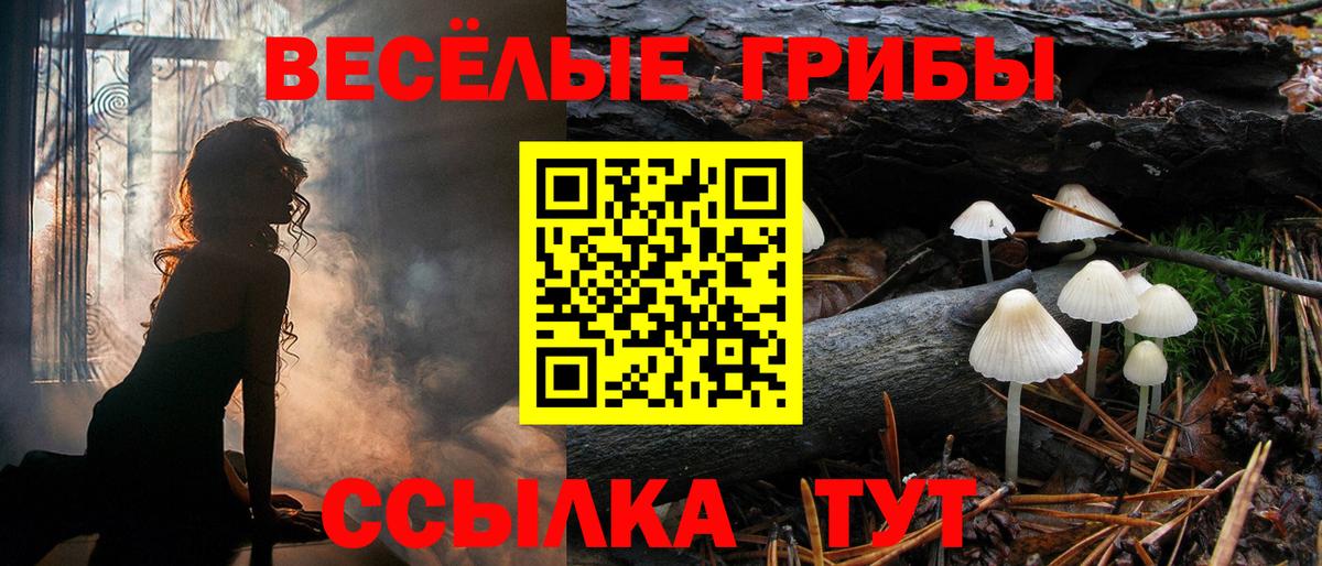 где можно купить   Вход с VPN  Рузаевка  Псилоцибиновые грибы мицелий  Галлюциногенные грибы мицелий 